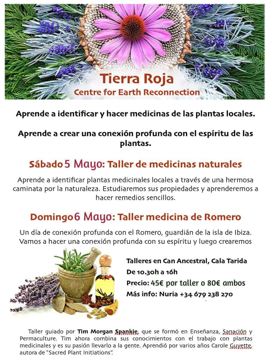 Workshops to learn how to identify medicinal plants and use them